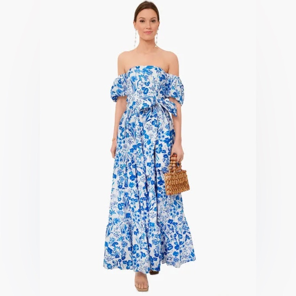 Cara Cara Wethersfield Dress Floral Garden 10- like new